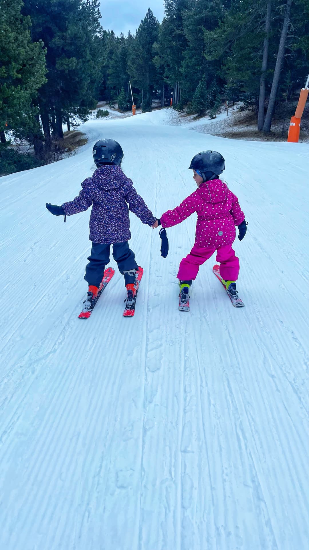 Classes d'esquí Particulares